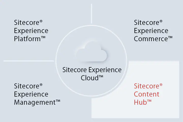 Sitecore Content Hub 入門 ～5つの要素を解説！～